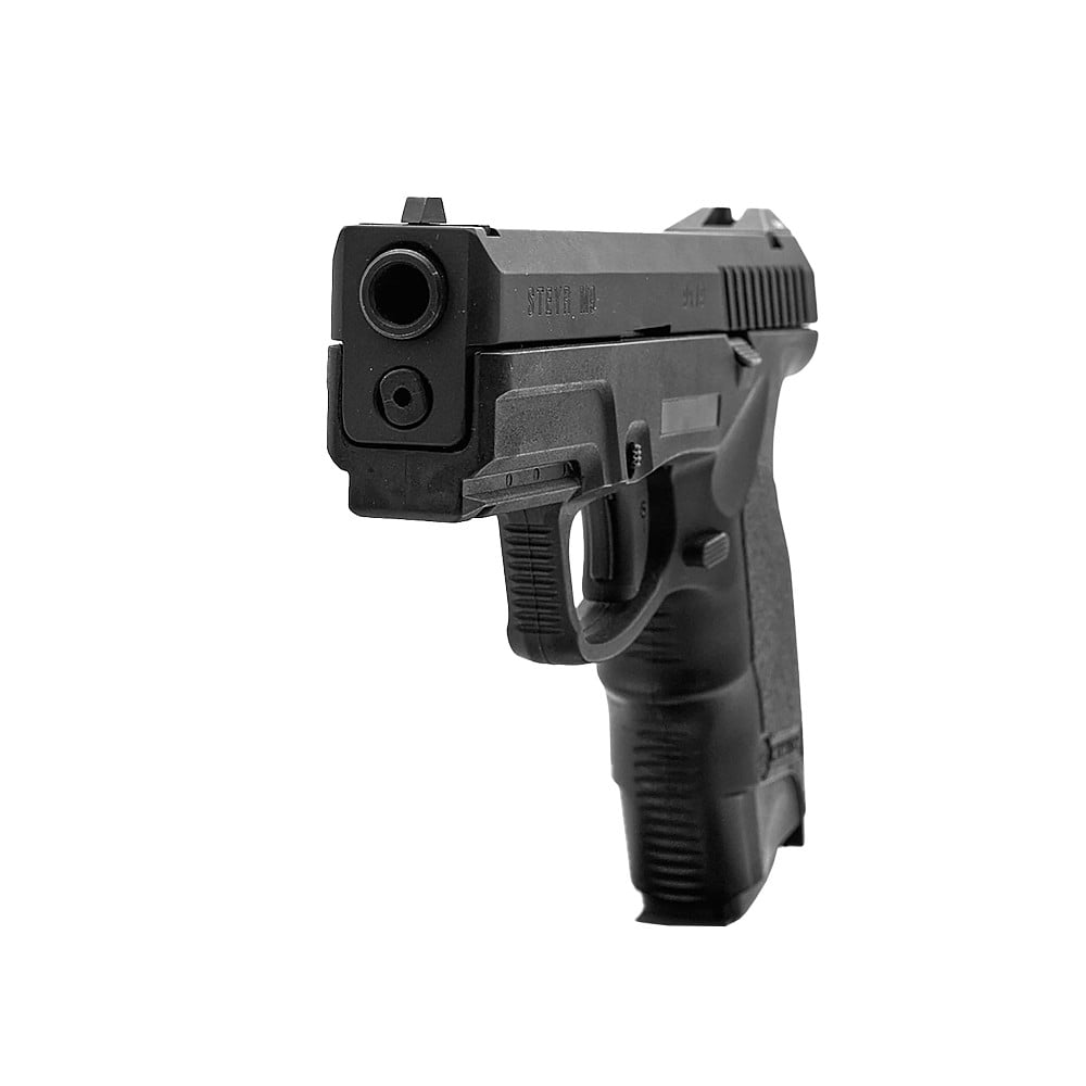 LKaup.Steyr Pistol M9-A1